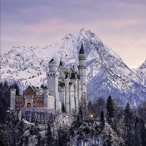 Meet your Posher, Leo